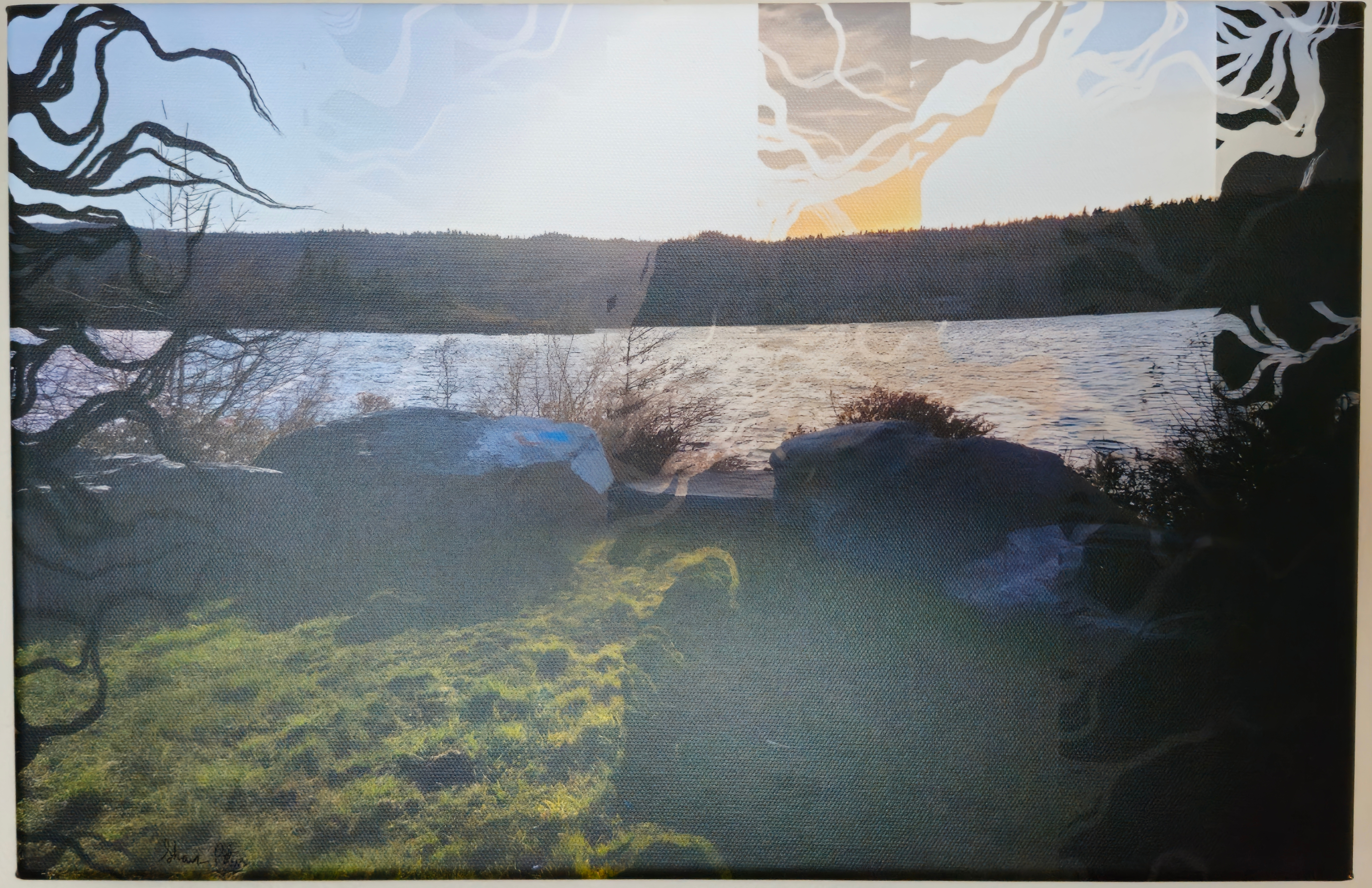 Goosepond By Passing Light